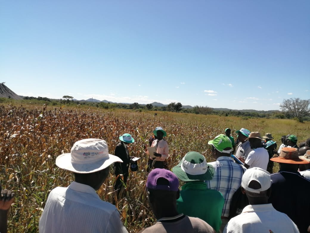 UFCL attended the field days in Zimbabwe
