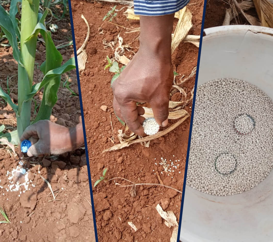 La nouvelle application Web pour calculer les taux d&#039;application des points d&#039;engrais