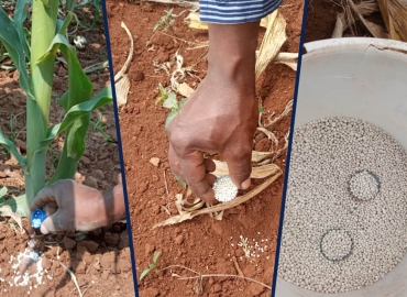 The new web app for calculating fertilizer point application rates